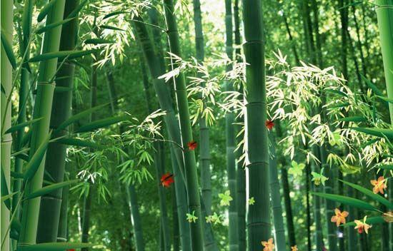 大自然沁人心脾的新鮮空氣，在家也能呼吸到