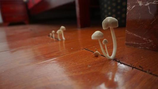 潮濕的地下室對人體有哪些危害？